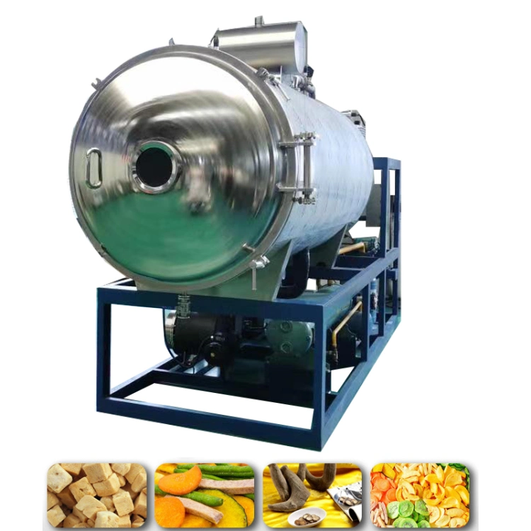 10m&sup2; Fruit and Vegetable Freeze Dryer Food Medicine Vacuum Dryer Pet Food Tea Commercial Freeze Drying Equipment
